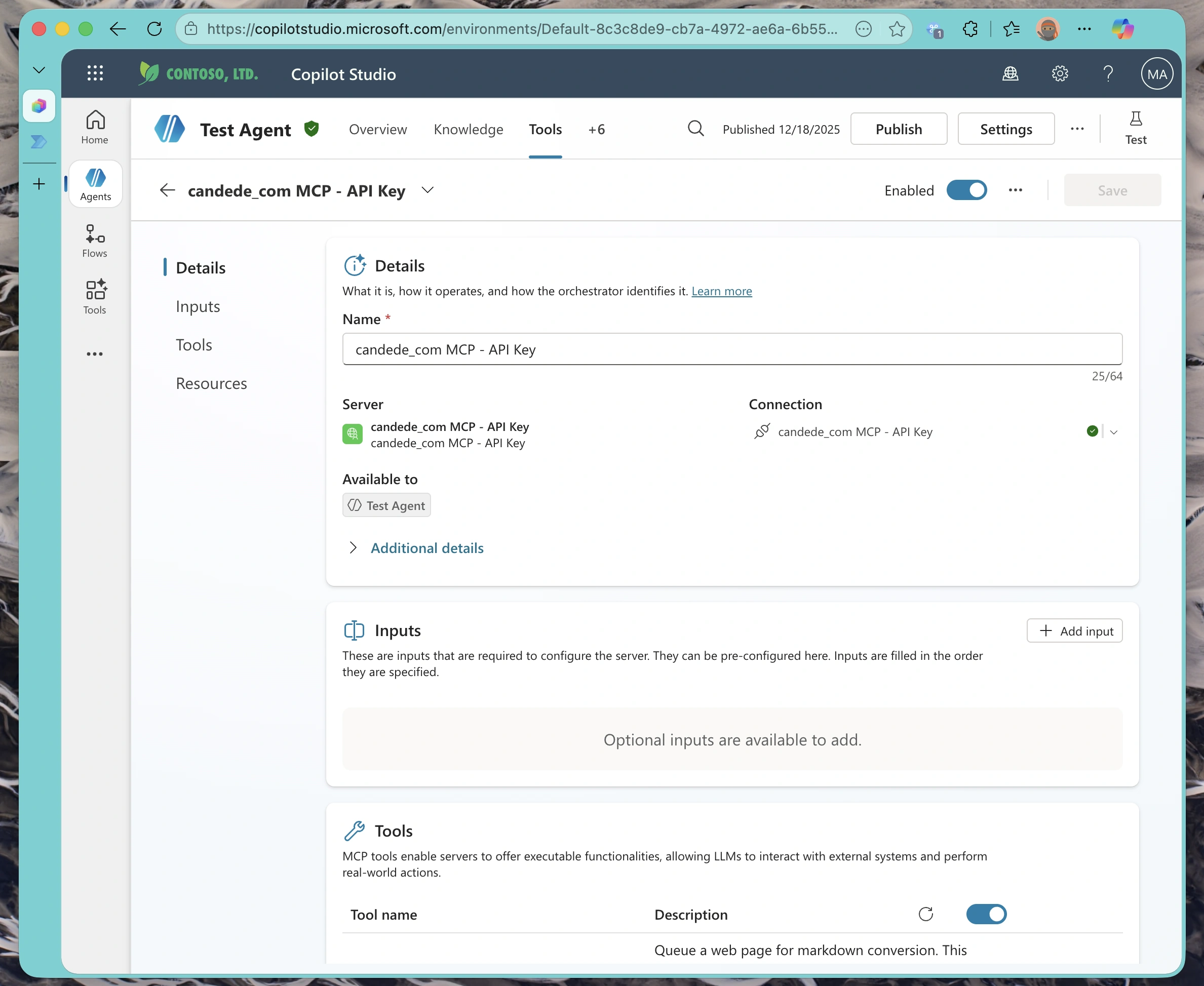 Configuration summary showing the connected MCP server details